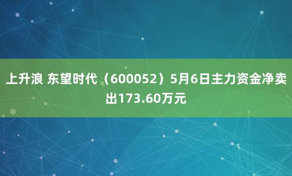 上升浪 东望时代（600052）5月6日主力资金净卖出173.60万元