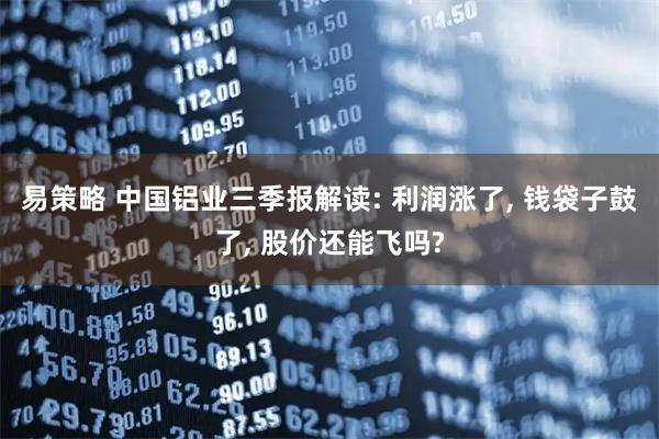 易策略 中国铝业三季报解读: 利润涨了, 钱袋子鼓了, 股价还能飞吗?