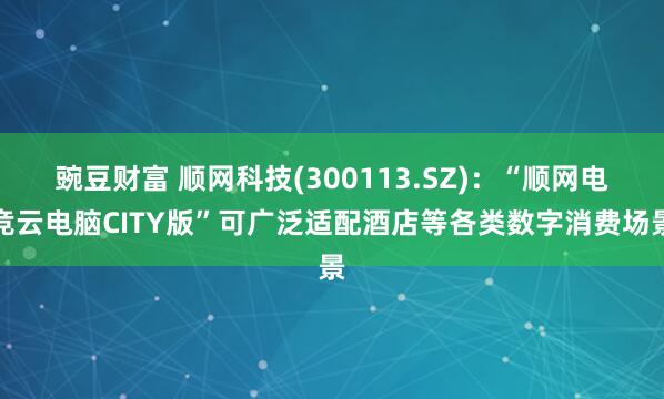 豌豆财富 顺网科技(300113.SZ)：“顺网电竞云电脑CITY版”可广泛适配酒店等各类数字消费场景