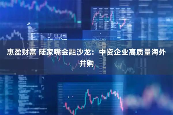 惠盈财富 陆家嘴金融沙龙：中资企业高质量海外并购